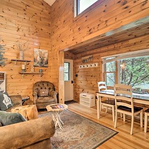 Pet-Friendly Adirondack Cabin With On-Site Lake Tasik Saranac Exterior photo