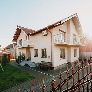 Pensiunea Alin Hotel Turda Exterior photo