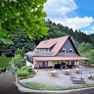 Villa Fuer 10 Personen Im Westerwald Mit Kino, Bar, Sauna Und Whirlpool Schutzbach Exterior photo