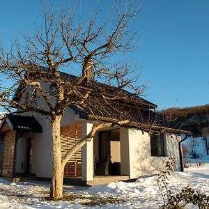 House For Rest Vin Villa Kolasin Exterior photo