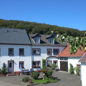 Ferienhof An Der Lay Apartment Kerpen  Exterior photo