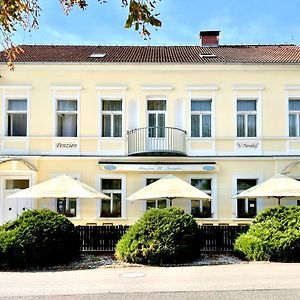 Penzion U Novaku Hotel Kozli u Orlika Exterior photo