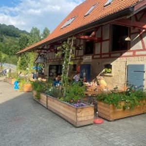 Gasthaus Holdermuehle Hotel Creglingen Exterior photo