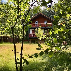 Ferienhaus Rhoener Wohnen Villa Hilders Exterior photo