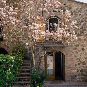 La Magnolia Bed & Breakfast Greve in Chianti Exterior photo