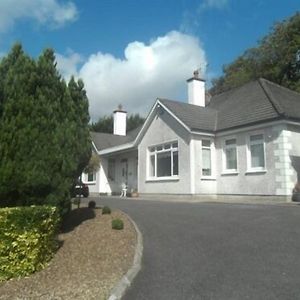 Launard House Bed & Breakfast Kilkenny Exterior photo