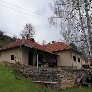 Kuca Za Odmor - Martic, Rudno, Golija Villa Kraljevo Exterior photo