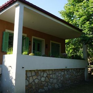 Kavet Palio Cottage Palaiontsiflikion Exterior photo