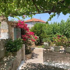 Sergios Village House Chania  Exterior photo