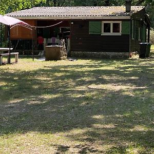 Uniquement Pour Les Amoureux De La Nature, Charmant Bungalow Entre Ocean, Estuaire Et Vignes, Toutous Bienvenue Guest House Saint-Vivien-de-Medoc Exterior photo