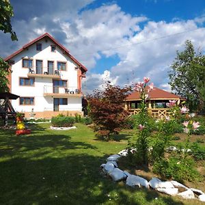 Pensiunea Saradavy Hotel Polovragi Exterior photo