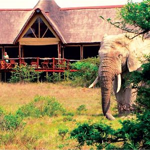 Safari Lodge- Amakhala Game Reserve Exterior photo