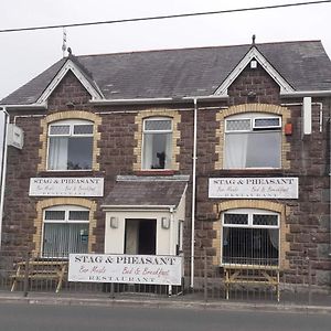 Stag And Pheasant Inn Cross Hands Exterior photo