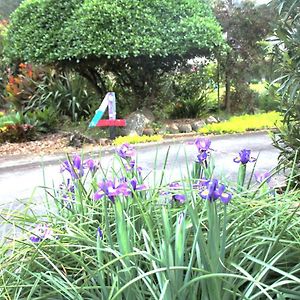 U Beauty - B & B Whangarei Exterior photo