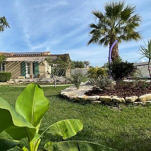 Le Palmier De Mira - Entre Uzege Et Cevennes Villa Saint-Chaptes Exterior photo
