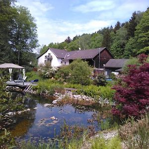 Urlaubspension Die Muehle Hotel Schollnach Exterior photo