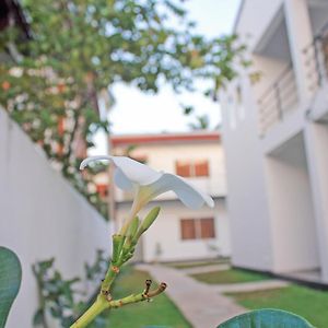 The Anchorage Holiday Apartments - Negombo Exterior photo