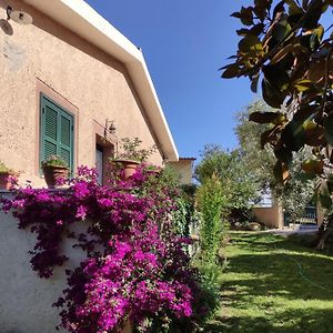 Alloggio Turistico Monte Santa Maria Guest House Poggio Nativo Exterior photo