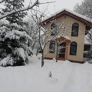 Tiny Cabin Villa Brasov Exterior photo