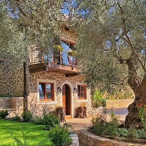 Olive Queen Rustic Estate Bed & Breakfast Bar Exterior photo