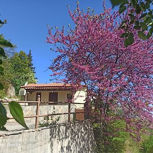 Forestrock Studio For Sale Too Villa Sparta Exterior photo