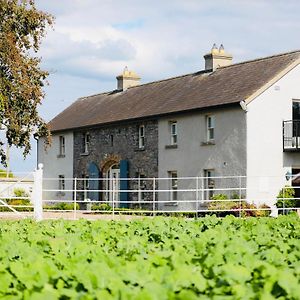 The Granary, Luxuriously Restored Barn On A Farm Villa Thurles Exterior photo