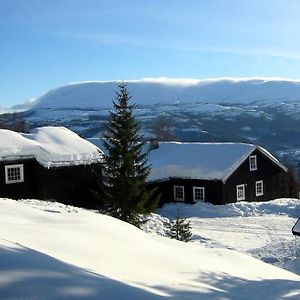 Hjartdal Fjellstoge & Storhytte Villa Exterior photo