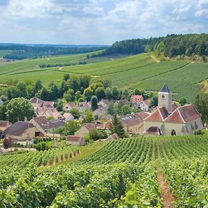 Villa Reims Champagne Lavannes Vineyard Exterior photo