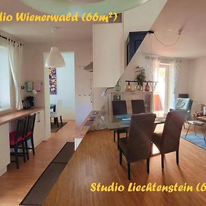 Studios Am Wienerwald Hinterbruehl Exterior photo