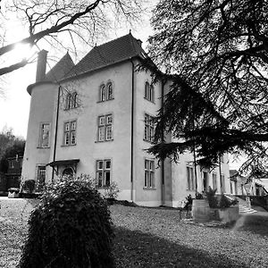 Bed And Breakfast Le Chateau De Morey Belleau Exterior photo