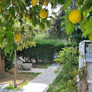 Elpida Lemon Garden House Villa Limassol Exterior photo