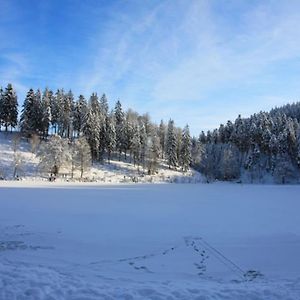 Ferienwohnung Hirschkopf Im Suedschwarzwald Kleines Wiesental Exterior photo