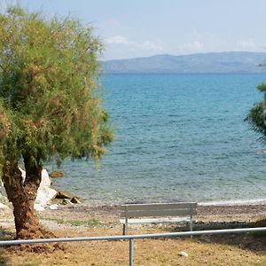 La Mer Bleue Beachfront Boutique Apartments Vrachati Exterior photo