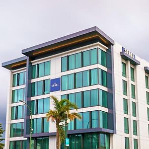 The Sebel Wellington Lower Hutt Hotel Exterior photo