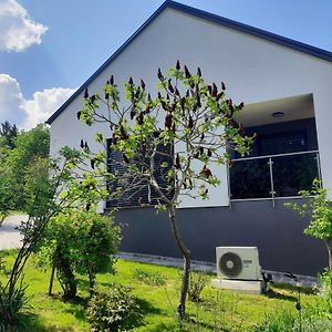 House Under The Maple Tree Apartment Vitanje Exterior photo