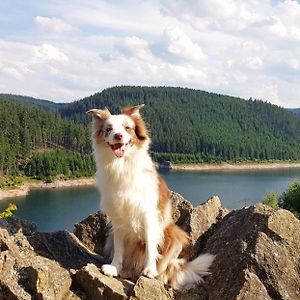 Ferienwohnung Hundeblick Tambach-Dietharz Exterior photo