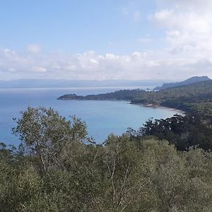 Porquerolles - Nuit Insolite A Bord Du Defi Fou Hotel Exterior photo