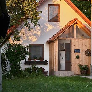 Walnut Tree Cottage Sacele Exterior photo