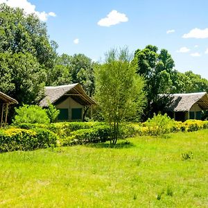 Giraffe Hills Mara Camp Hotel Maasai Mara Exterior photo