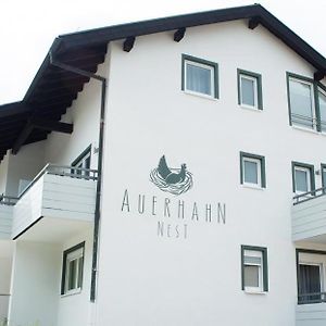 Auerhahn Nest Hotel Bad Wildbad Exterior photo