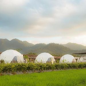 Borobudur Luxury Glamping Hotel Magelang Exterior photo