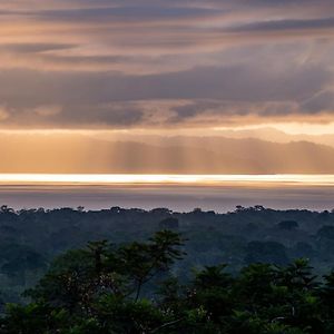 Corcovado Glamping & Villas Puerto Jimenez Exterior photo