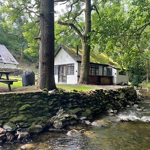 Cuckoo Cabin, Tyn Y Cwm Villa Eglwys-Fach Exterior photo