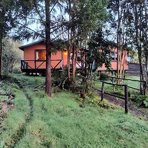 Casa O Habitacion En Carretera Austral Guest House Puerto Montt Exterior photo