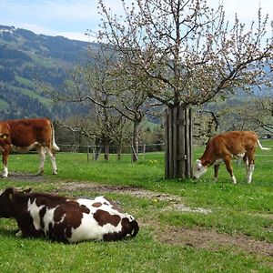 Achrainer-Moosen Villa Hopfgarten im Brixental Exterior photo