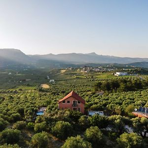 Myron Olive Villa Retreat Agios Myronas Exterior photo