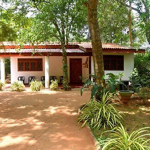 Senasuma Holiday Bungalow Anuradhapura Villa Exterior photo