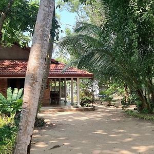 Nature Love Negombo Apartment Kochchikade Exterior photo