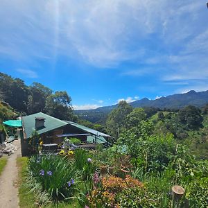 Eco Horqueta Bed & Breakfast Boquete Exterior photo