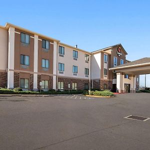 Comfort Inn New Orleans Airport South Saint Rose Exterior photo